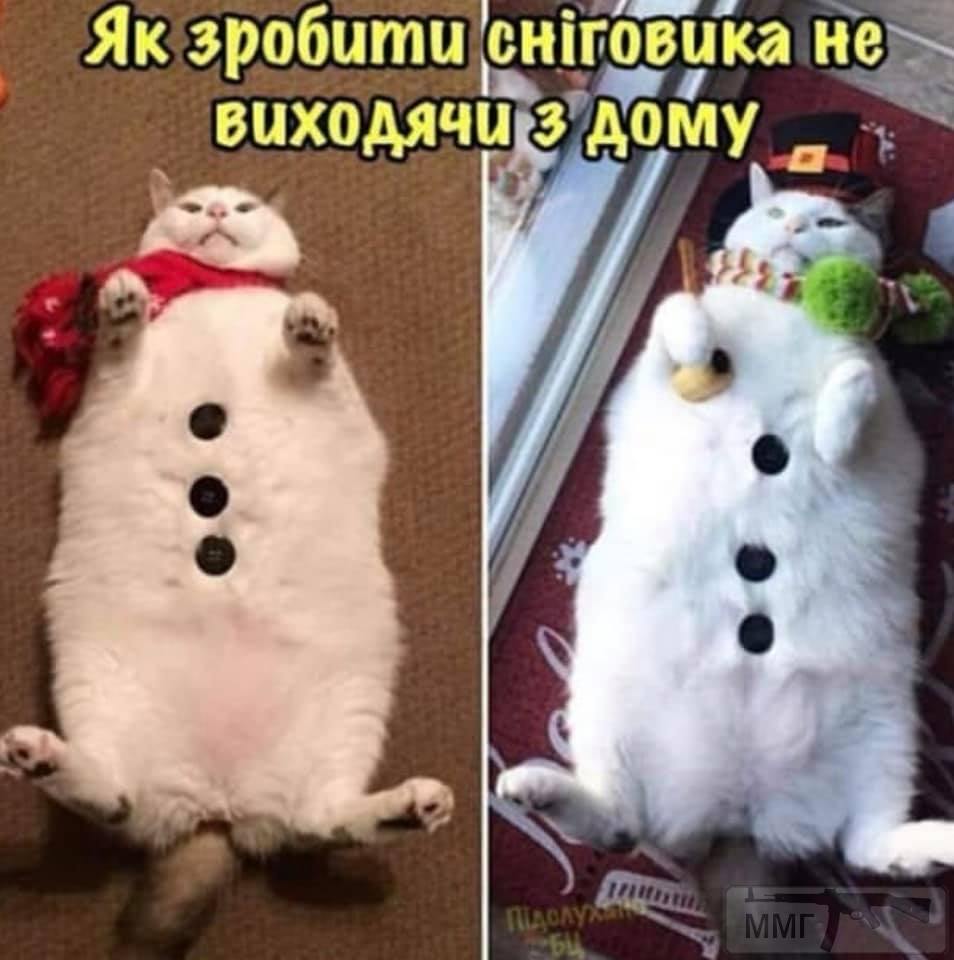 61334