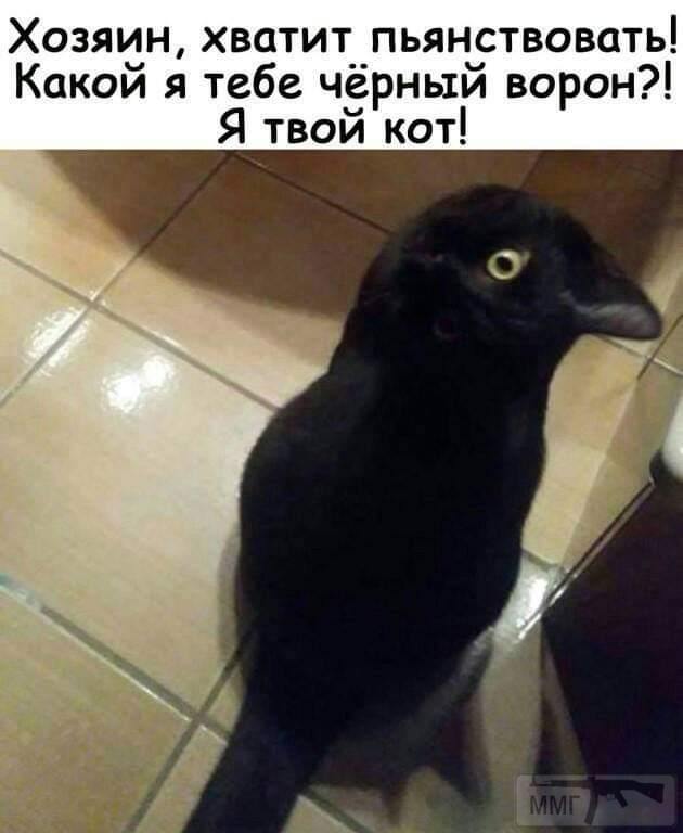63050
