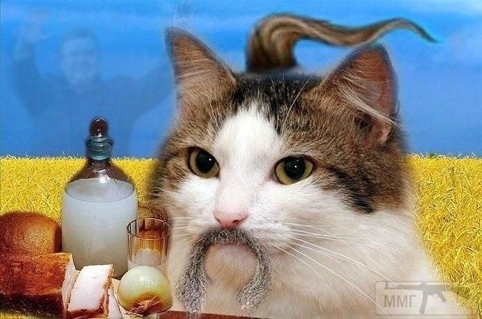 63534