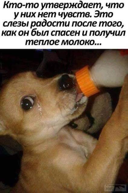 65471