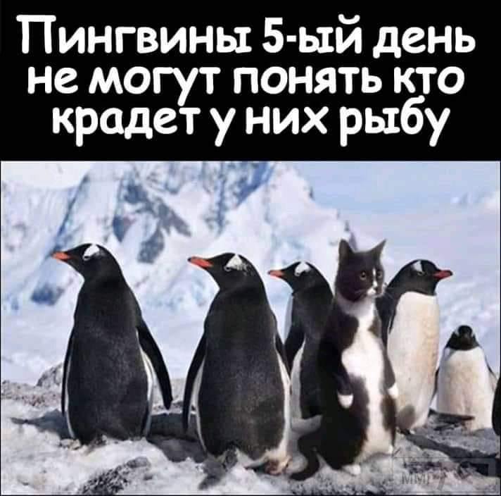 65584
