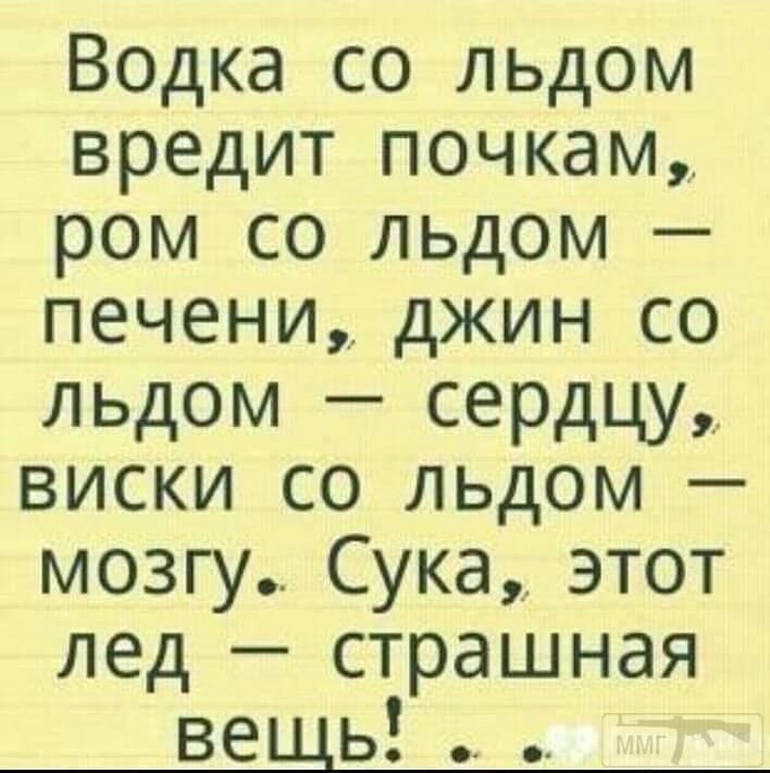 45633 - Пить или не пить? - пятничная алкогольная тема )))