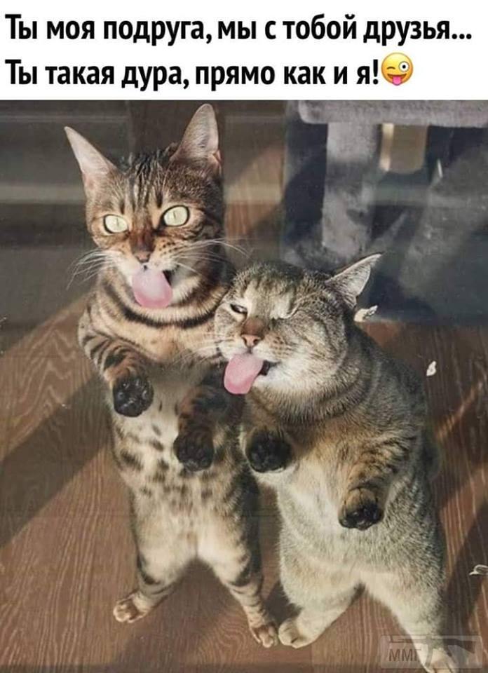 68764