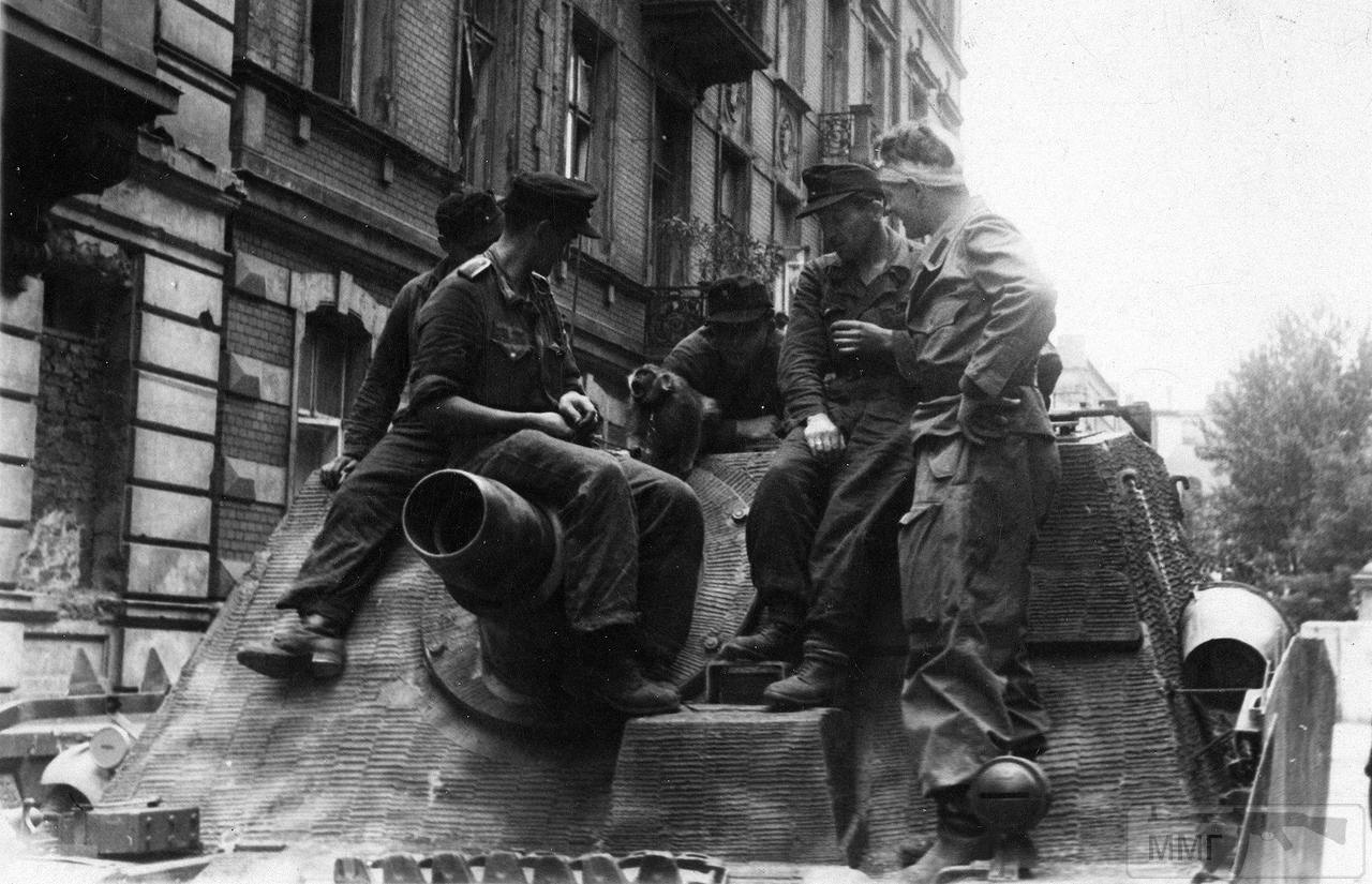 48667 - Военное фото 1941-1945 г.г. Восточный фронт.