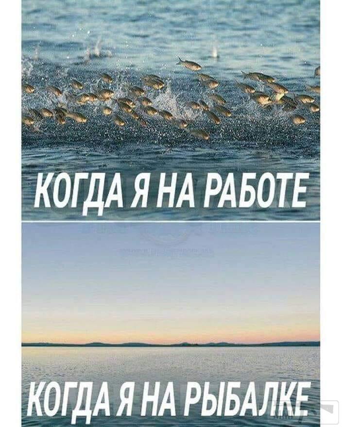 69329