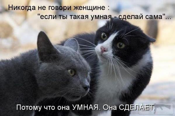49508 - Отношения между мужем и женой.