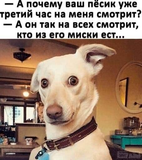 69819