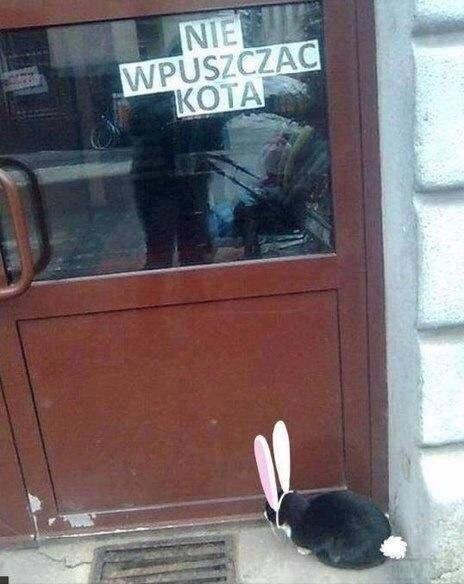 4840