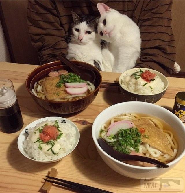 71488