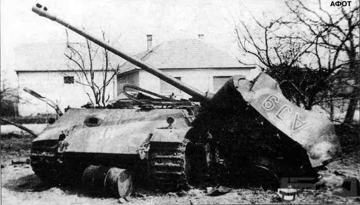 54542 - Военное фото 1941-1945 г.г. Восточный фронт.