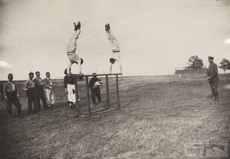 54656 - Военное фото. Западный фронт. 1914-1918г.г.