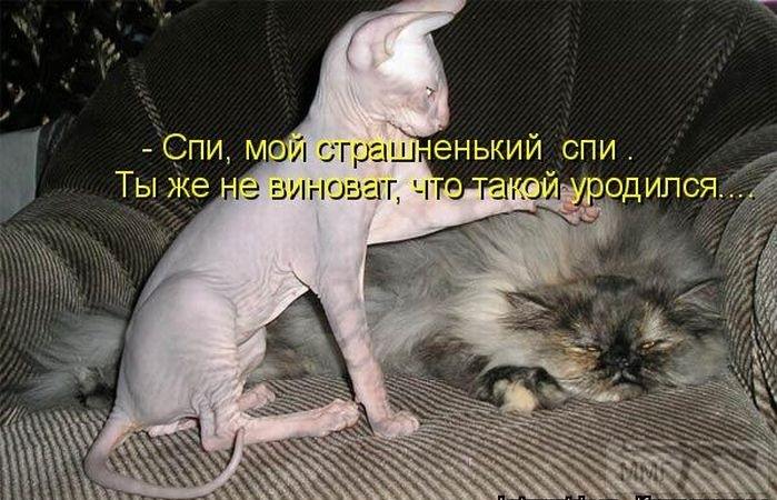 73182