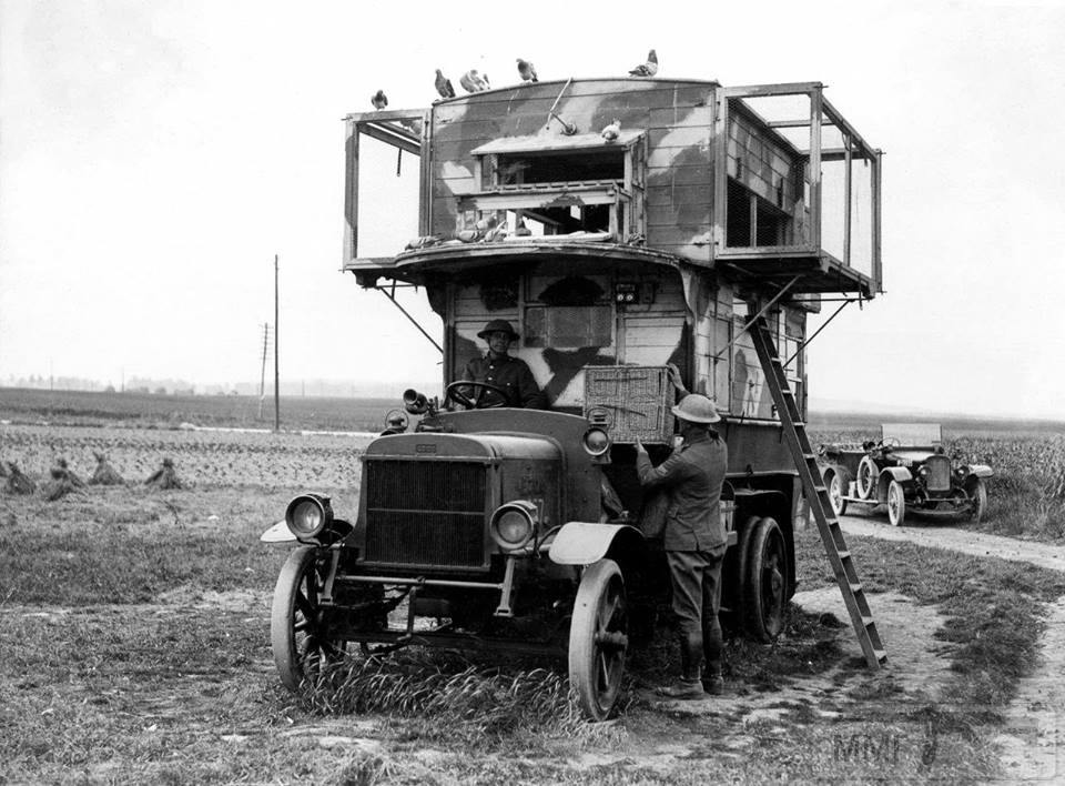 55702 - Военное фото. Западный фронт. 1914-1918г.г.