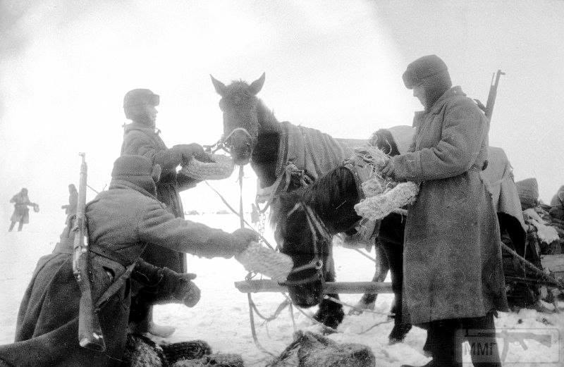 55703 - Военное фото 1941-1945 г.г. Восточный фронт.