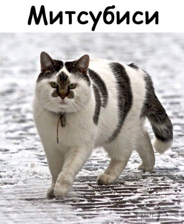 76000