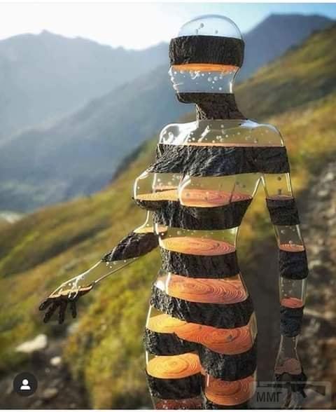 76603
