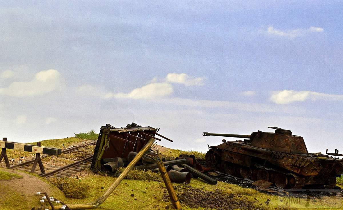 76954