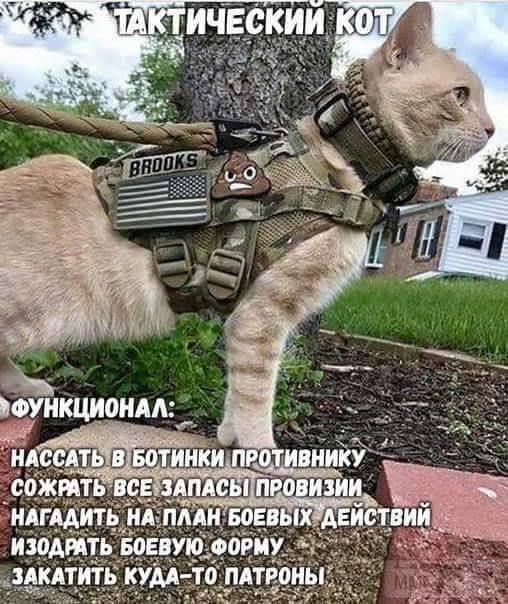 78974