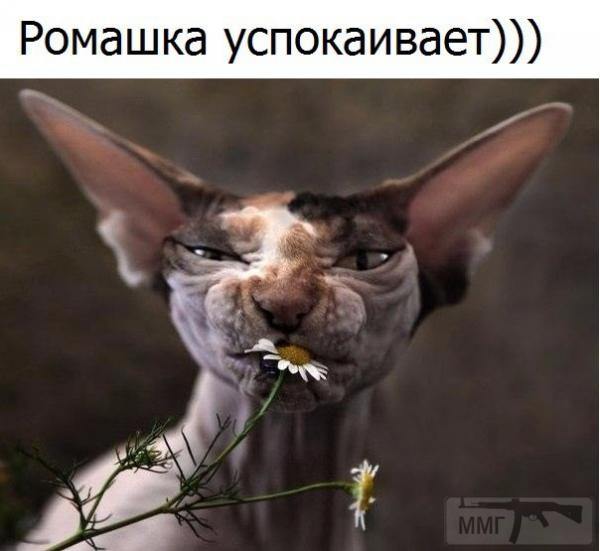 79347