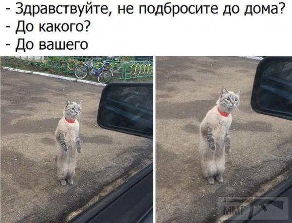 79514