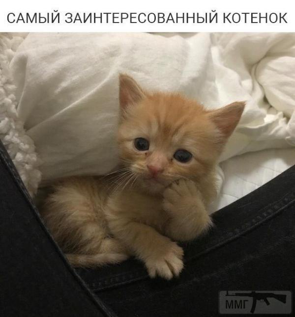 79517