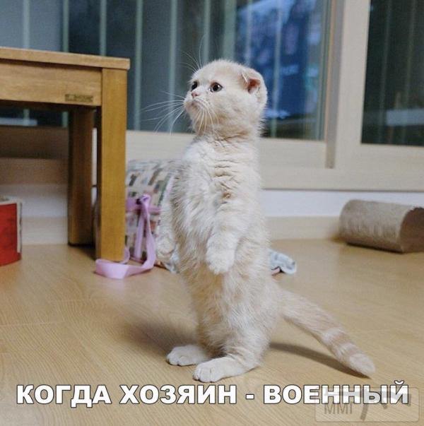 79710