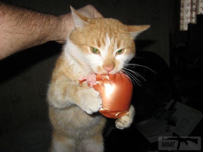 79712