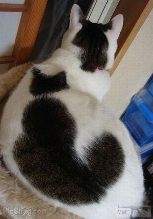 79713