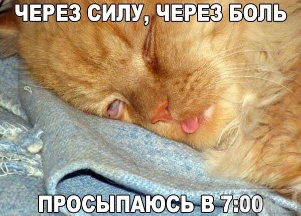 80384