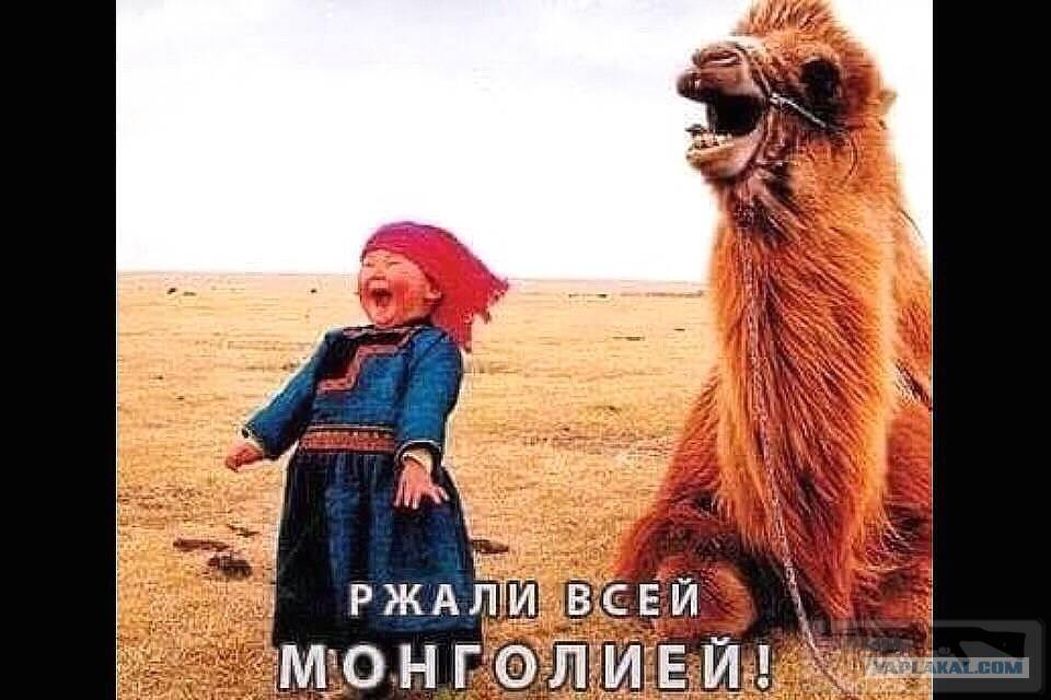 65930 - А в России чудеса!