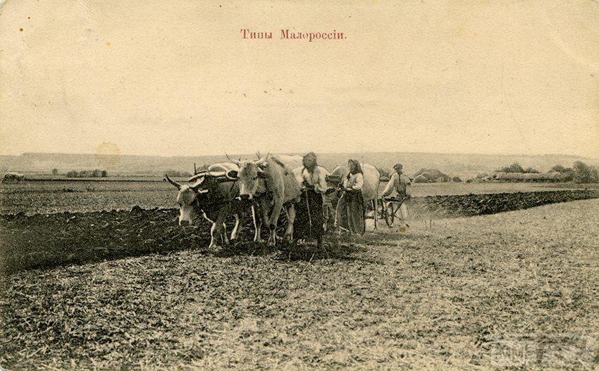 66168 - Мальовнича Україна.