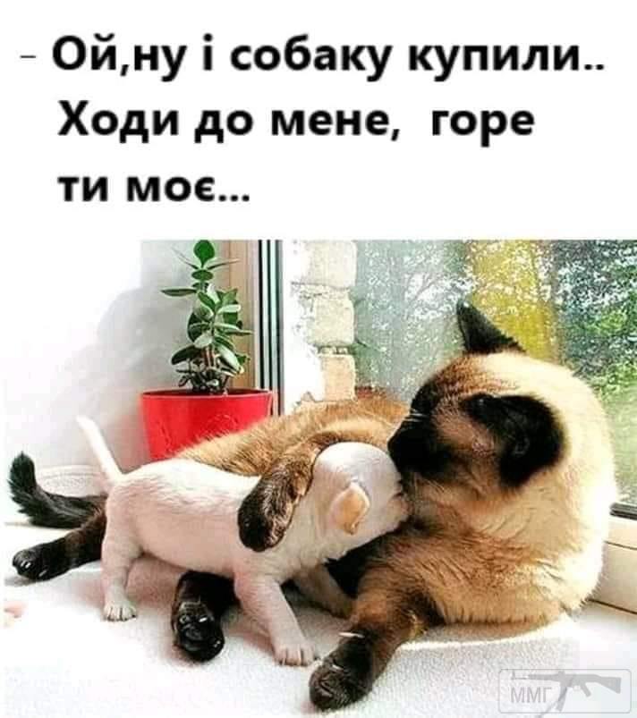 89988