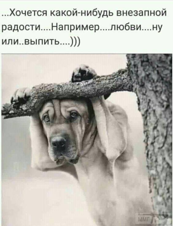 90169