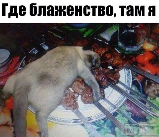 91462