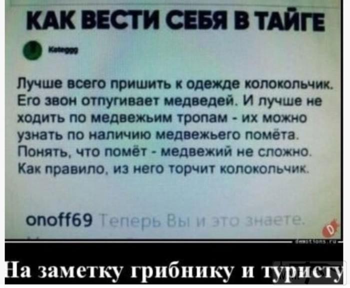 73287 - Адский циник!
