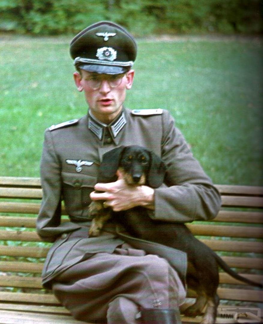 73677 - Военное фото 1941-1945 г.г. Восточный фронт.