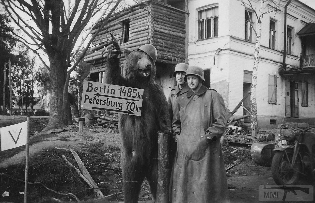 74881 - Военное фото 1941-1945 г.г. Восточный фронт.