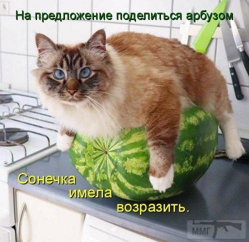 94553