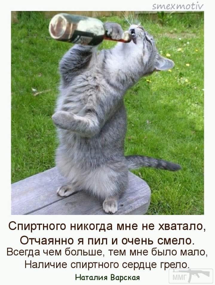 94717