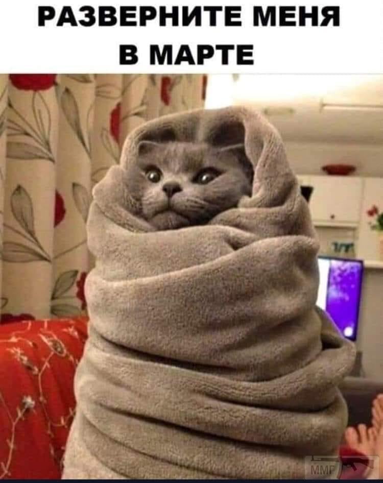 94736