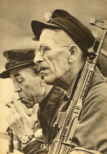 7564 - Sturmgewehr Haenel / Schmeisser MP 43MP 44 Stg.44 - прототипы, конструкция история