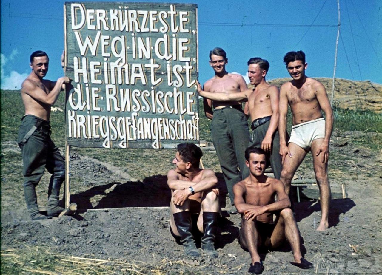 75942 - Военное фото 1941-1945 г.г. Восточный фронт.