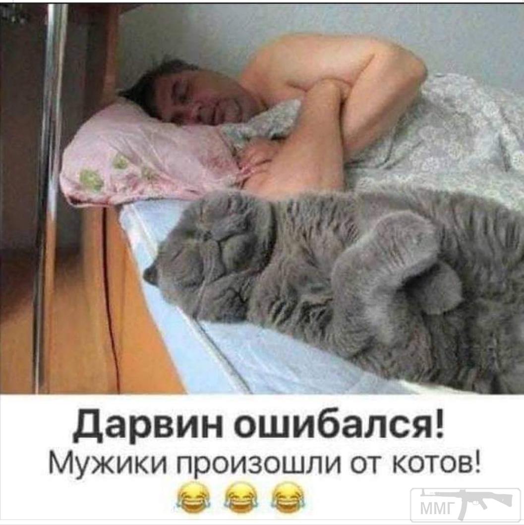 96914