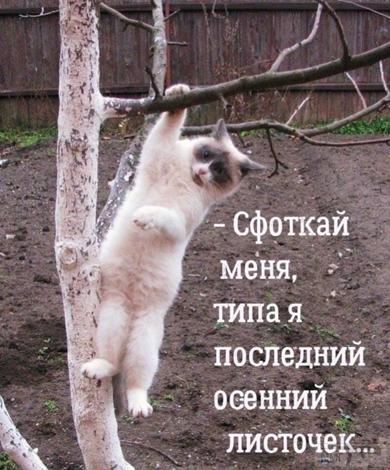 97091