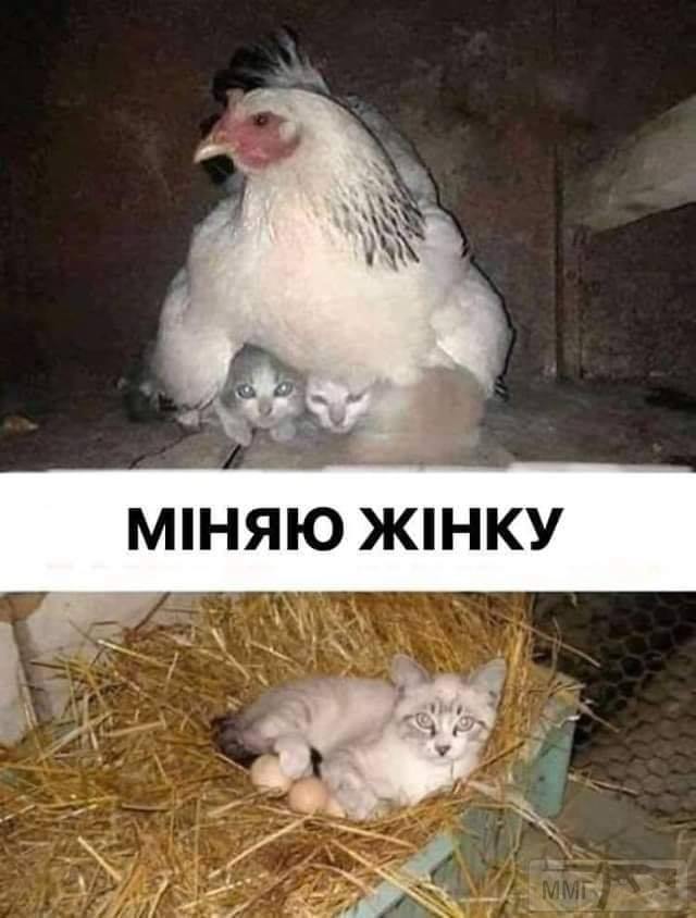 98826