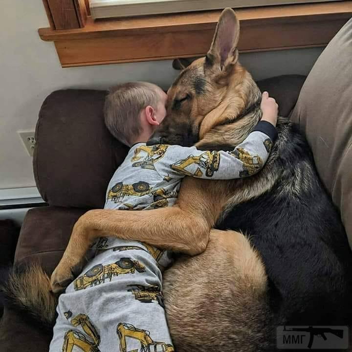 99529