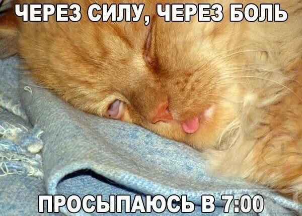 100629