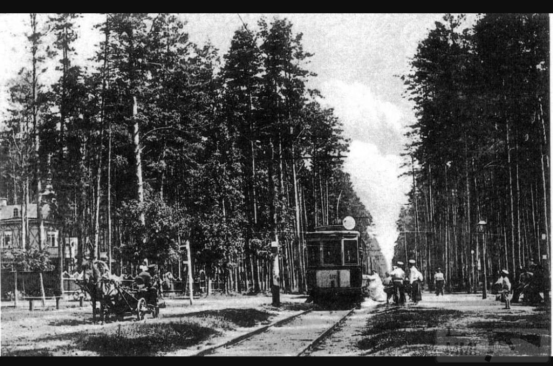 80373 - Мальовнича Україна.