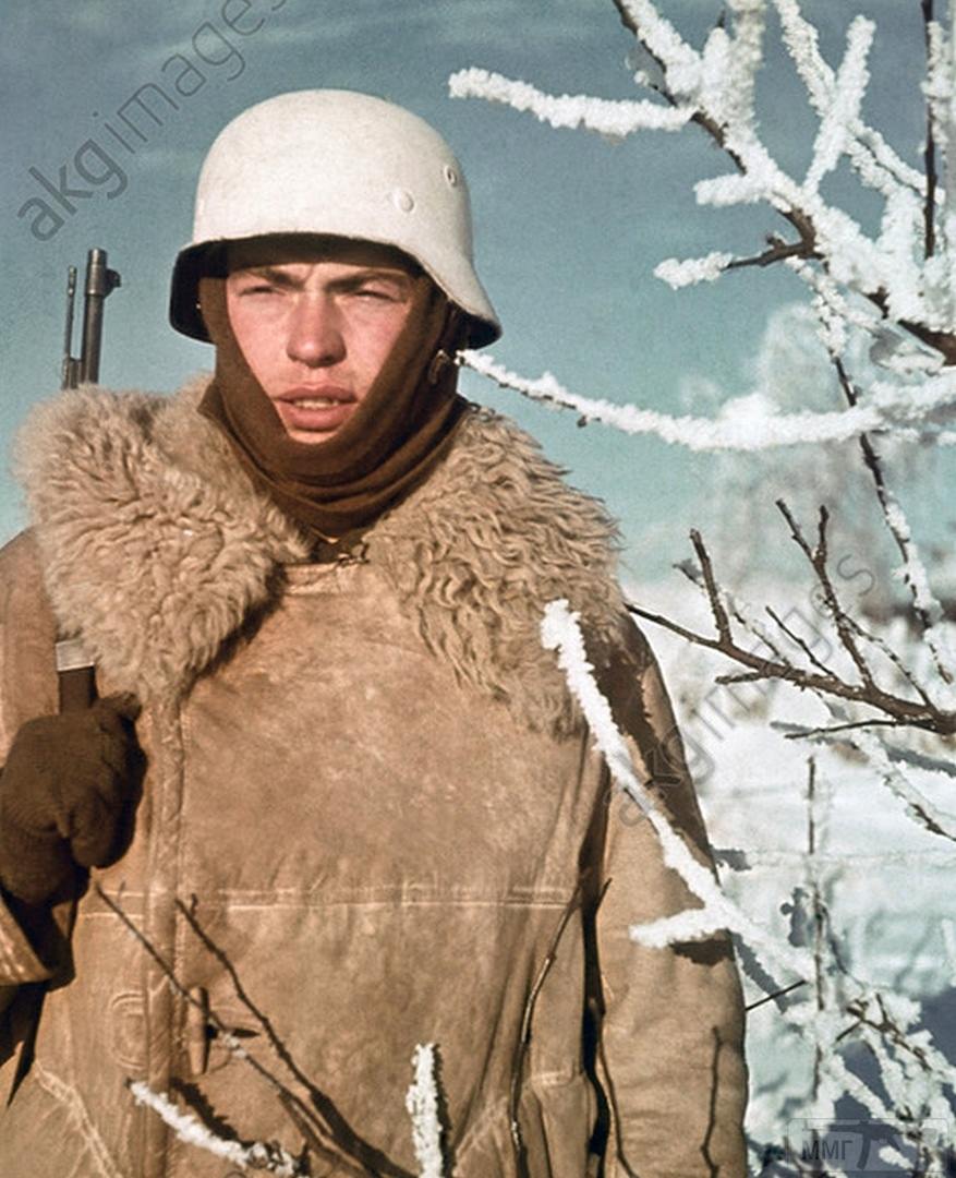 84432 - Военное фото 1941-1945 г.г. Восточный фронт.