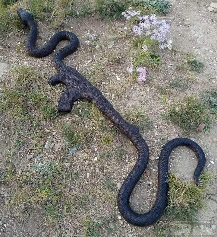 105135